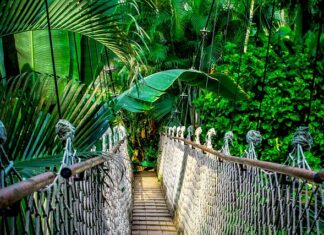 Jaki kurs IT dla początkujących? Jaki kurs IT dla początkujących?