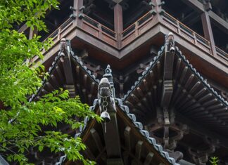 Po jakim czasie junior staje się midem? Po jakim czasie junior staje się midem?