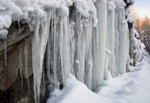 Ile wynosi przybliżona wartość rocznego przepływu inwestycji w formie BIZ?