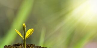 Co oprócz edukacji wpływa na rozwój państwa?